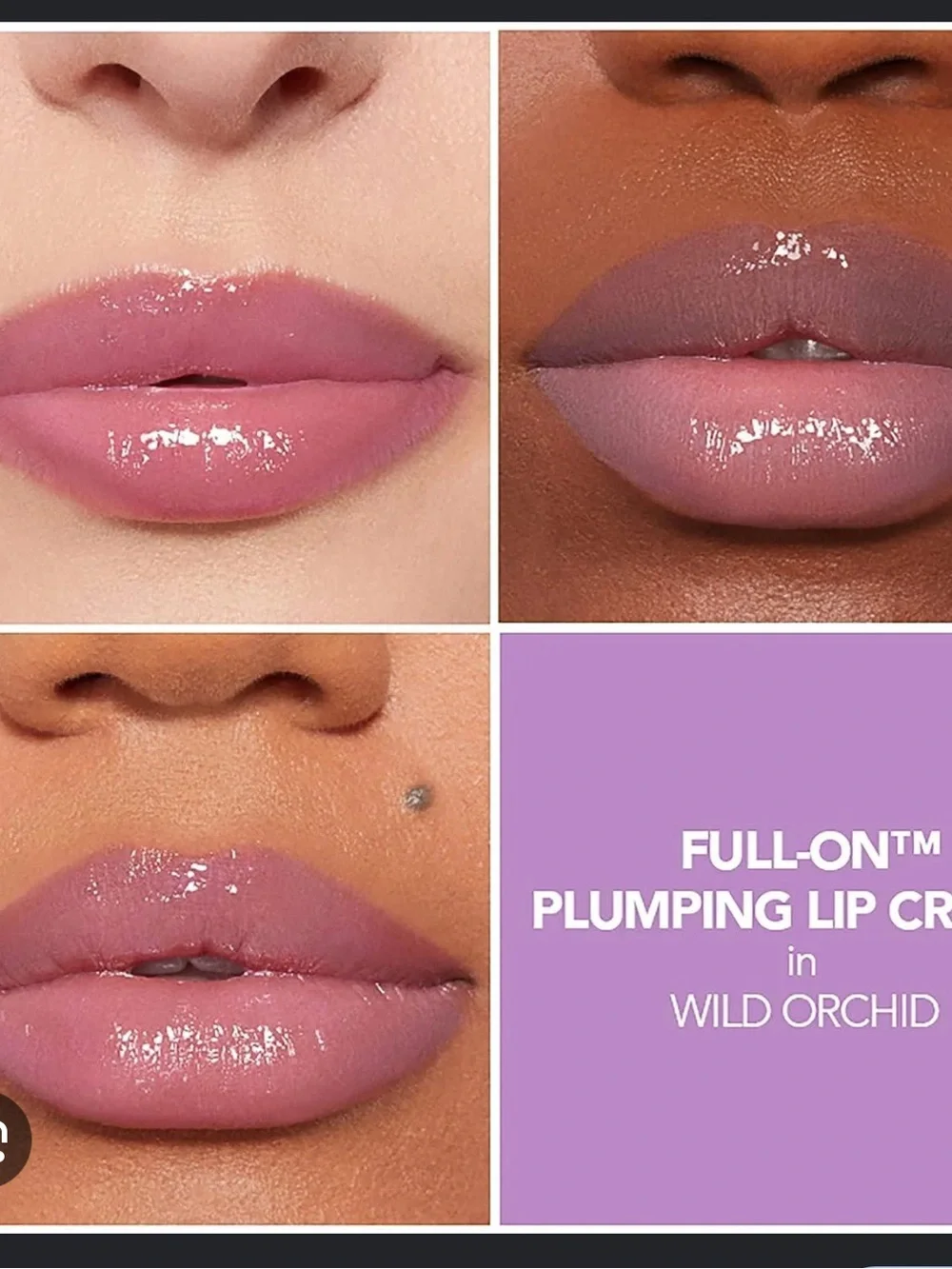 Buxom wild orchid Full-On Plumping Lip Cream